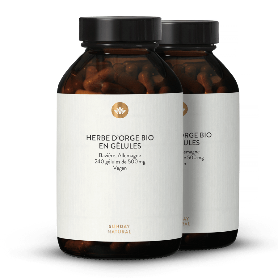 Herbe d'orge bio en gélules 2 x 240 gélules