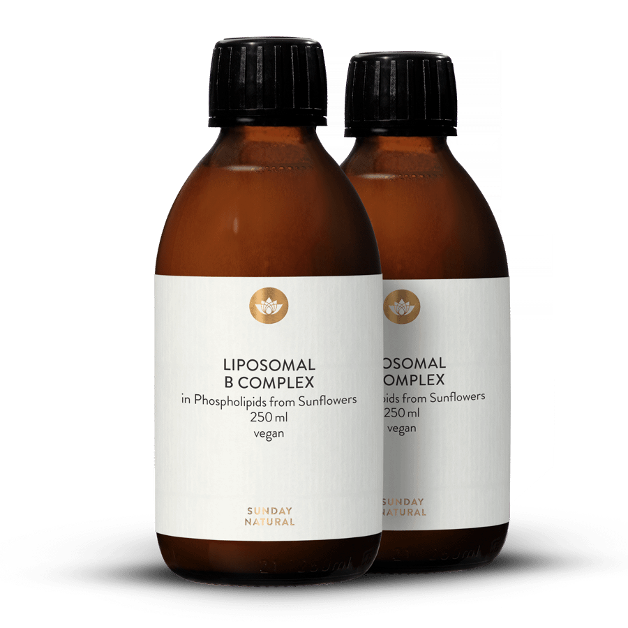 Vitamin B-komplex Liposomal 2 x 250 ml