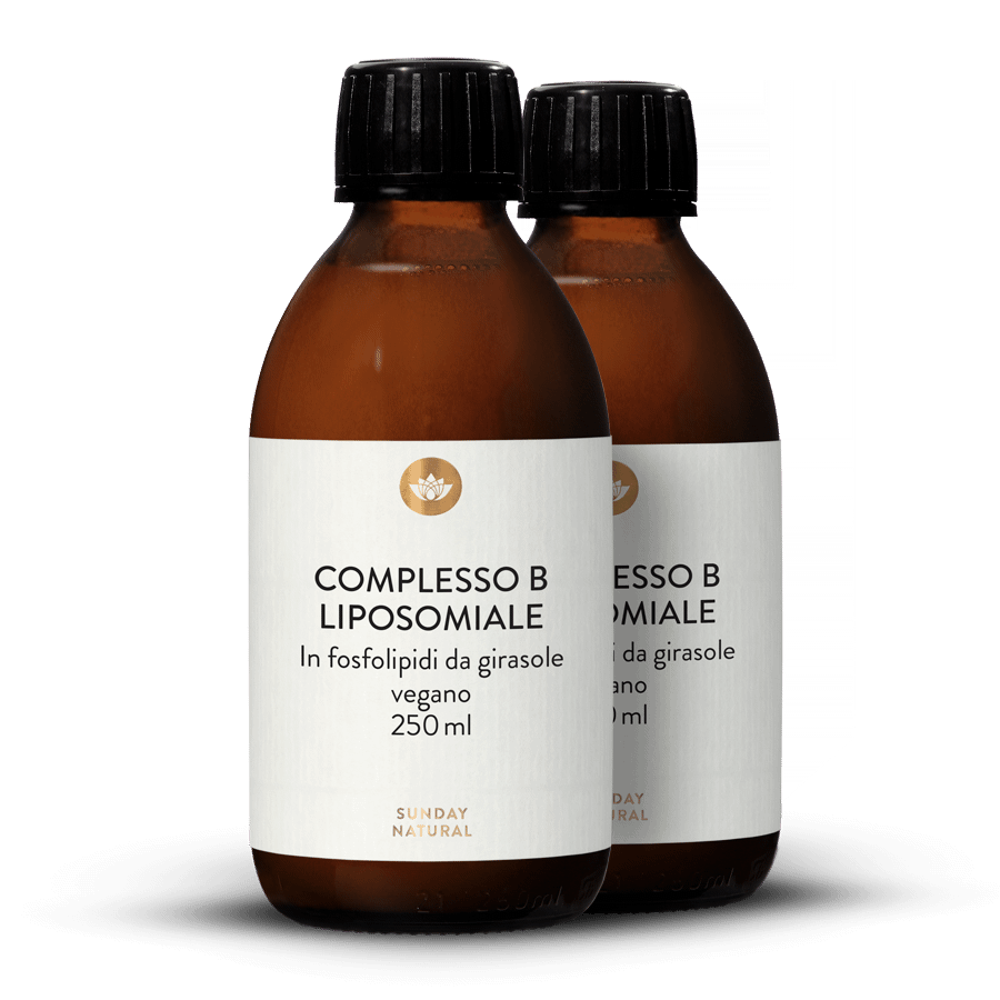Complesso vitamina B liposomiale 2 x 250 ml