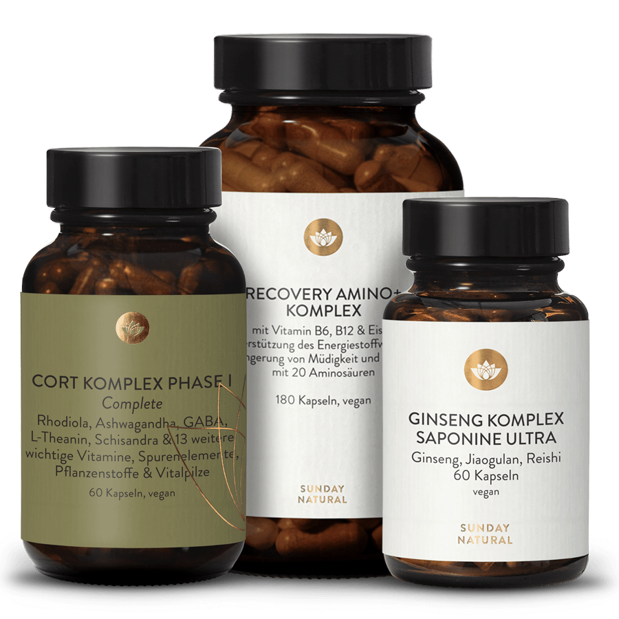 Cort Phase 1 - Coffret 1 p.