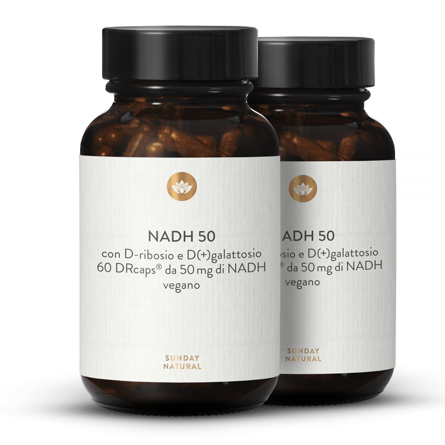 NADH 50 D-ribosio e D(+)galattosio 2 x 60 capsules
