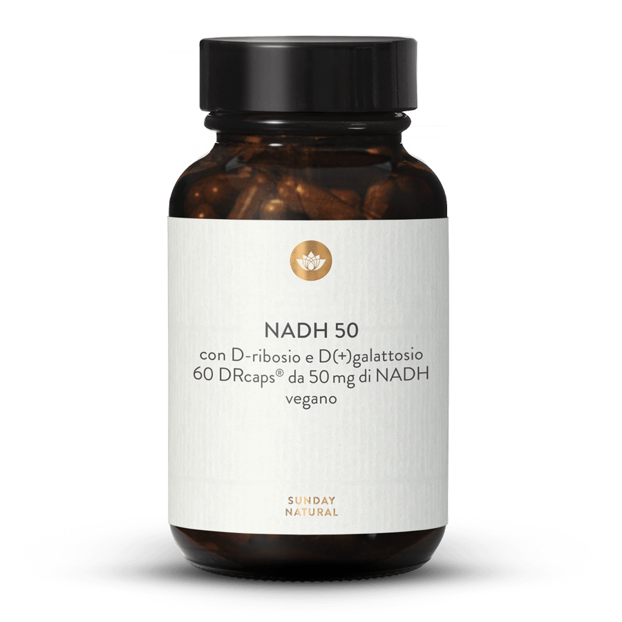 NADH 50 D-ribosio e D(+)galattosio 60 capsule