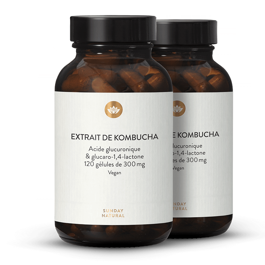 Extrait de kombucha fermenté 2 x 120 gélules