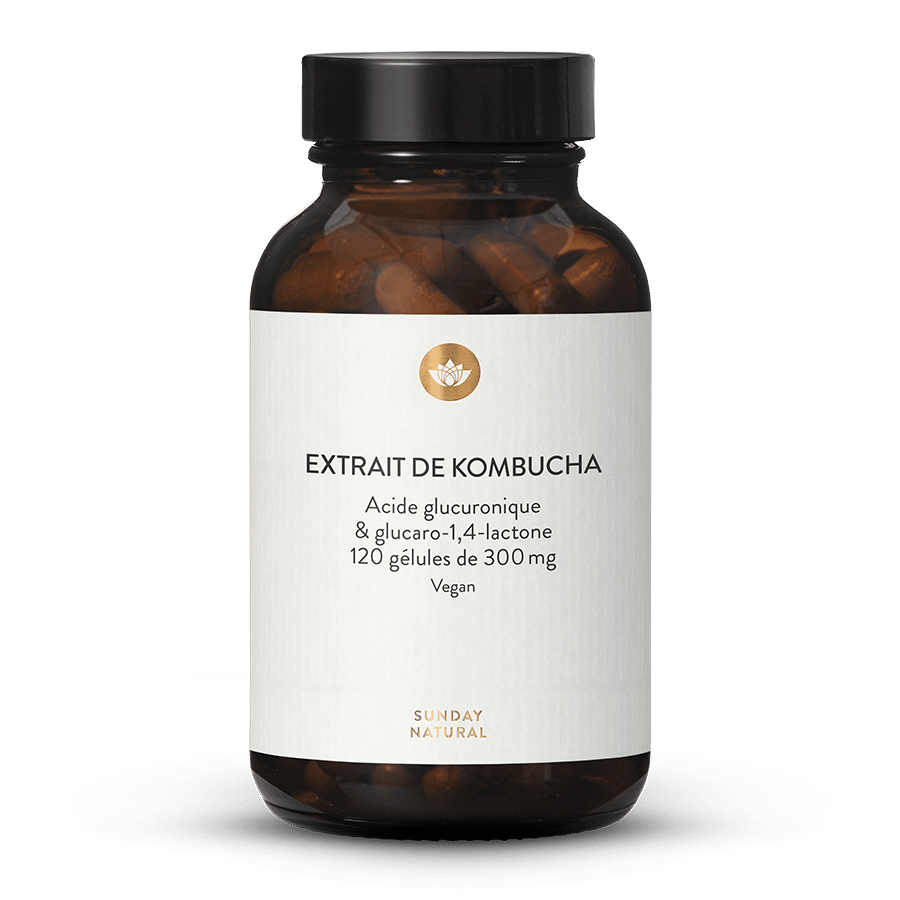 Extrait de kombucha fermenté 120 gélules