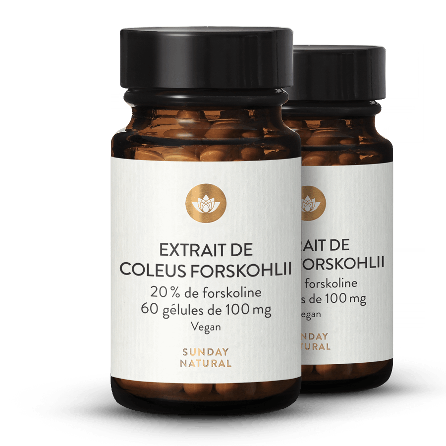 Extrait de Coleus forskohlii 2 x 60 gélules