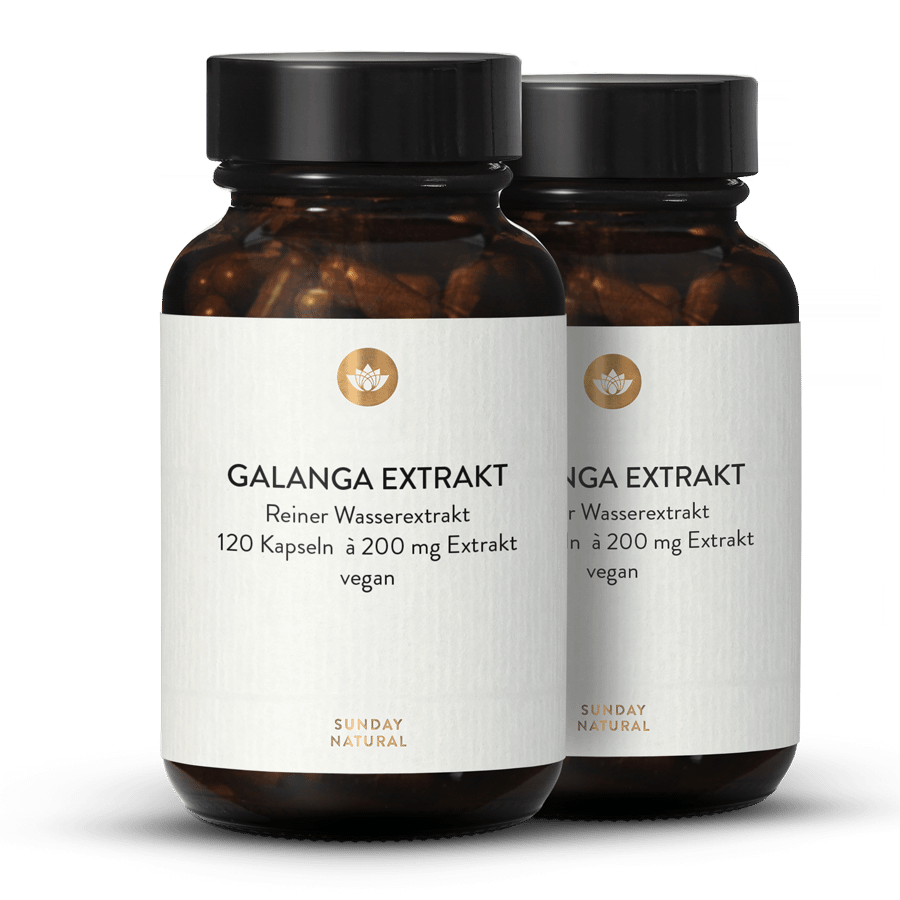 Extrait de galanga 2 x 120 gélules