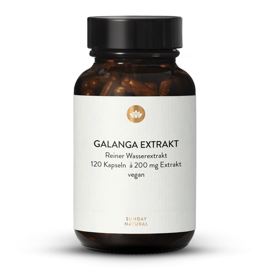 Galanga Extrakt 120 Kapseln