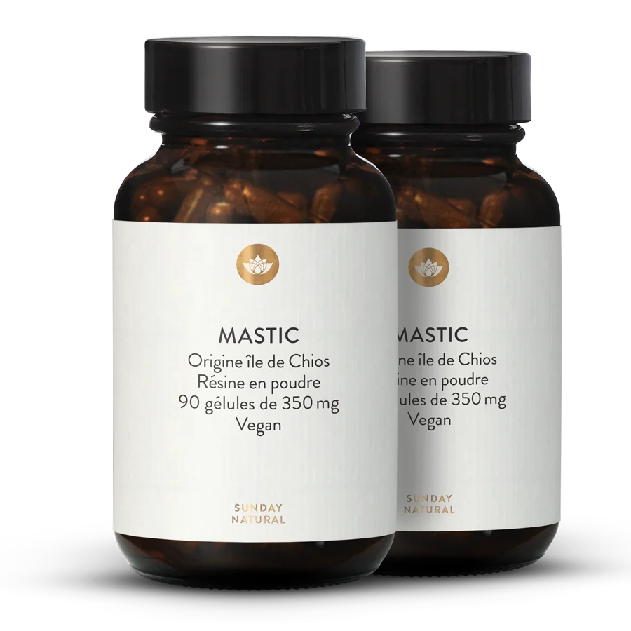 Mastic - gélules 2 x 90 gélules
