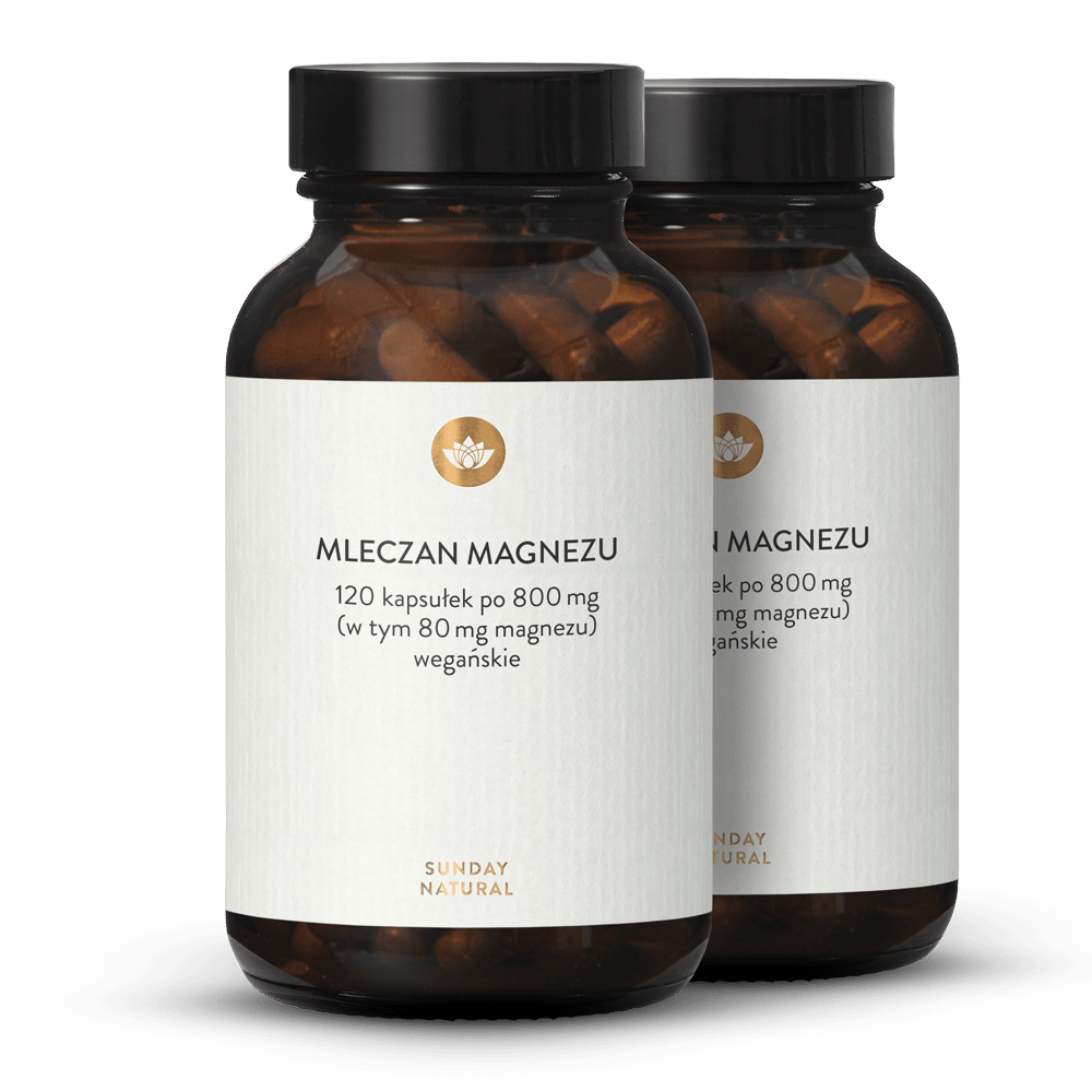 Mleczan magnezu kapsułki 2x120 kapsułek