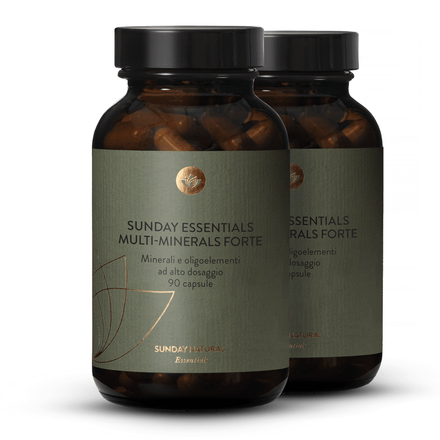 Multi-Minerals Forte 2 x 90 capsule