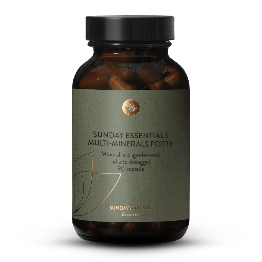 Multi-Minerals Forte 90 capsule