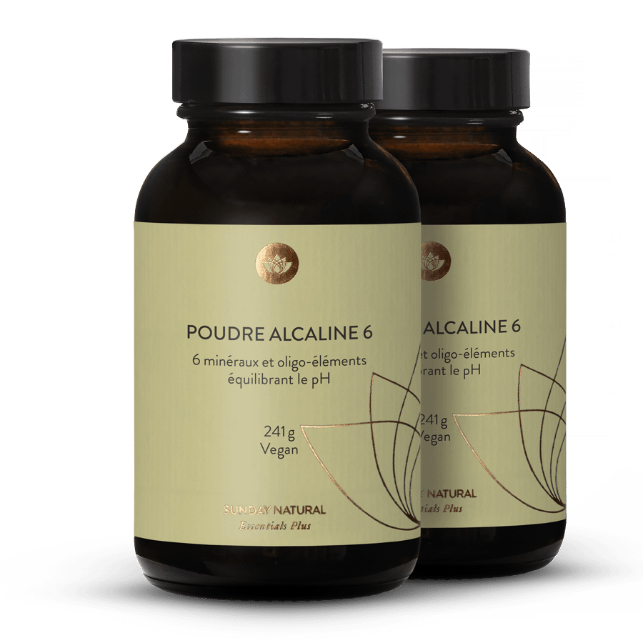 Poudre alcaline 6 2 x 241 g