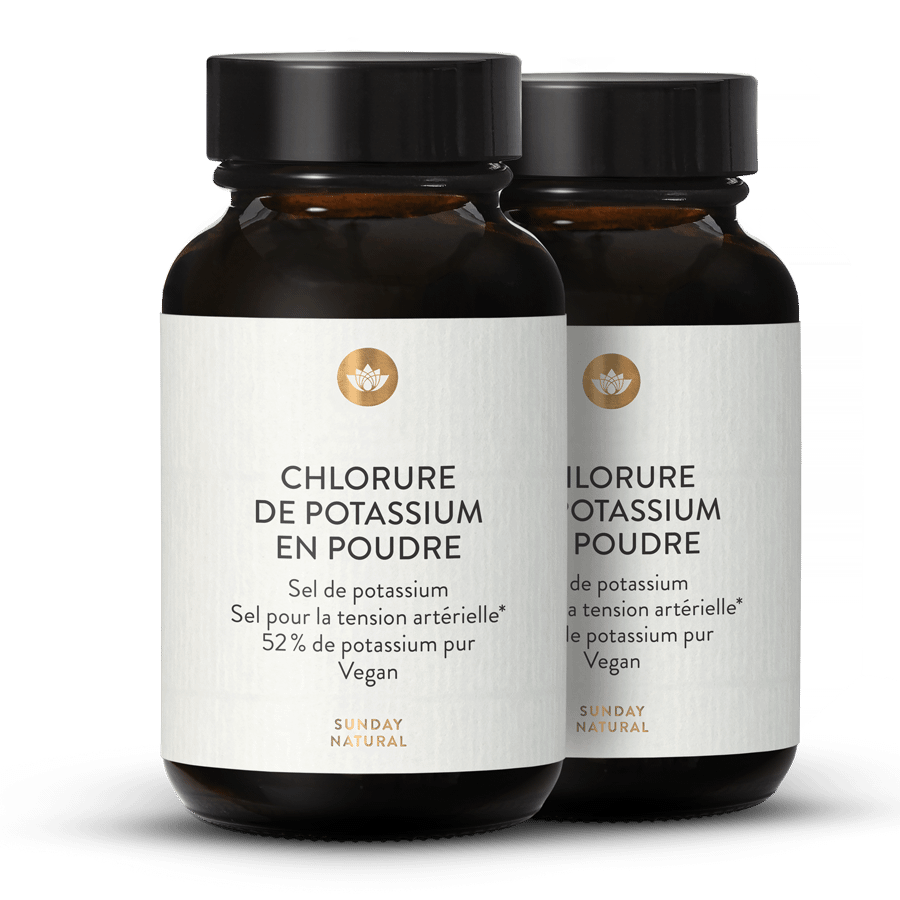 Chlorure de potassium en poudre 2 x 250 g