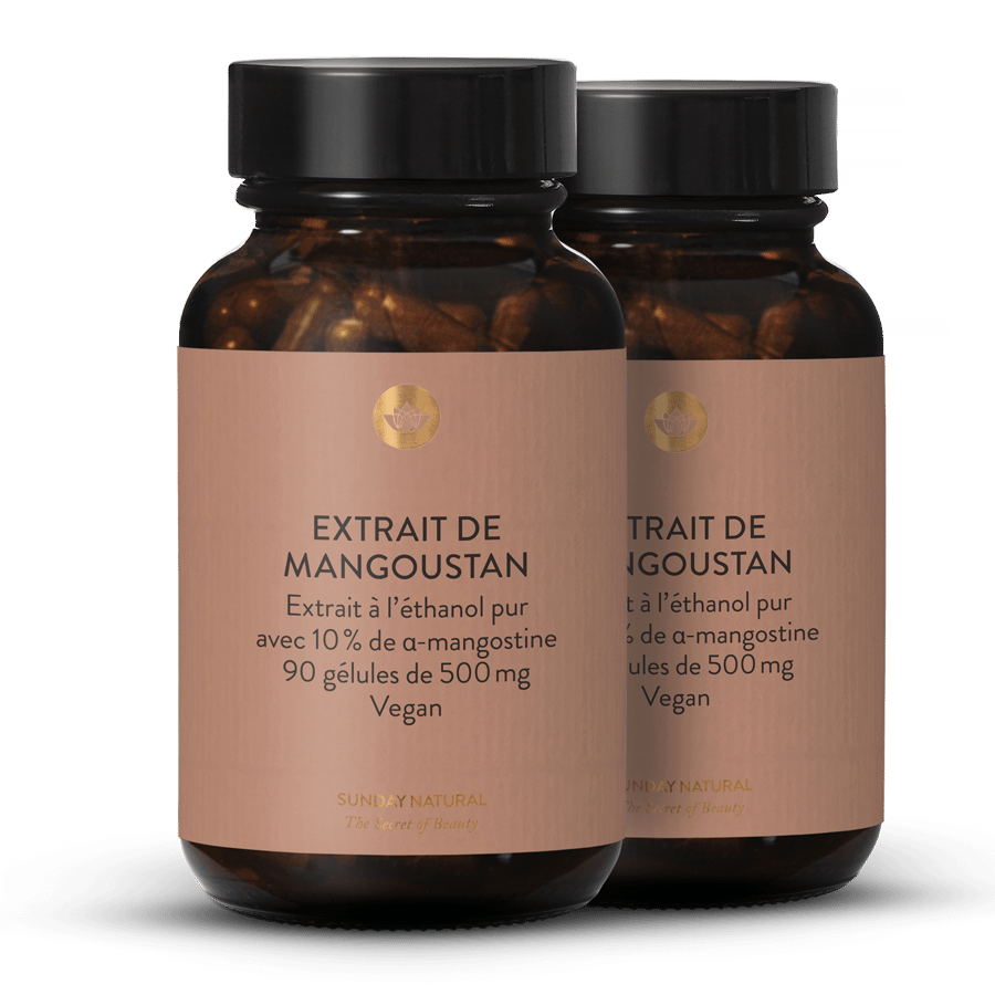 Extrait de mangoustan 2 x 90 gélules