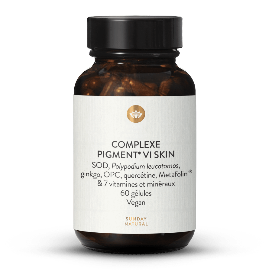 Complexe Pigment Vi Skin 60 gélules