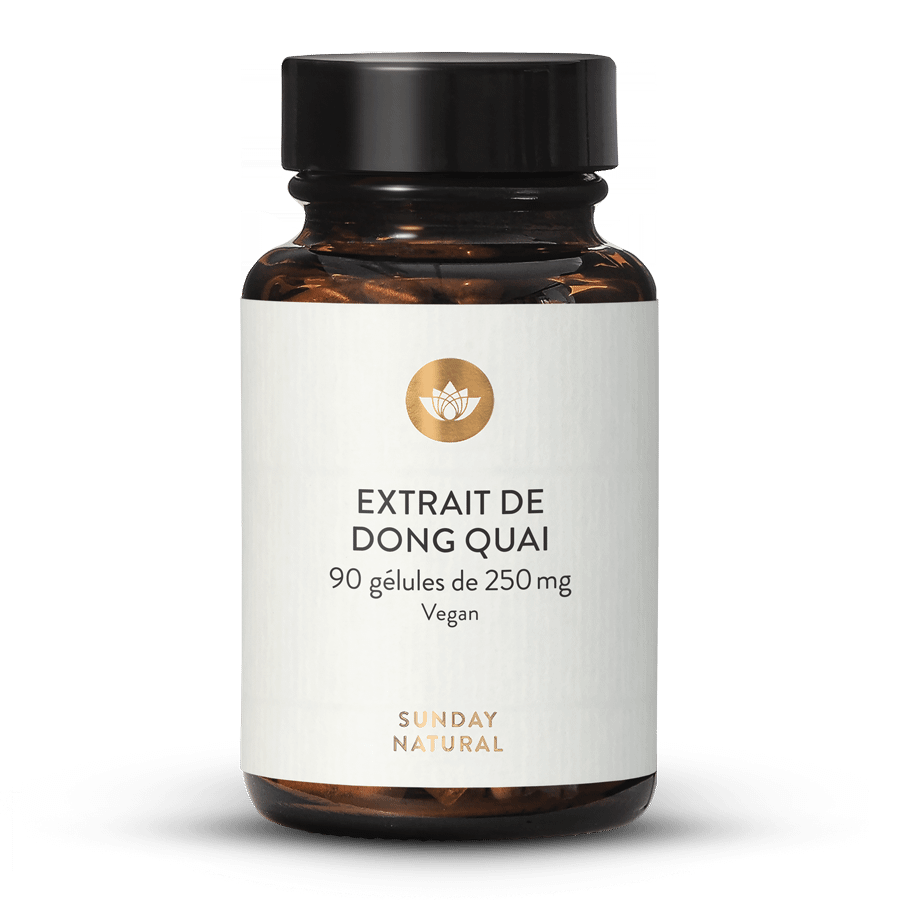Extrait de Dong Quai 90 gélules