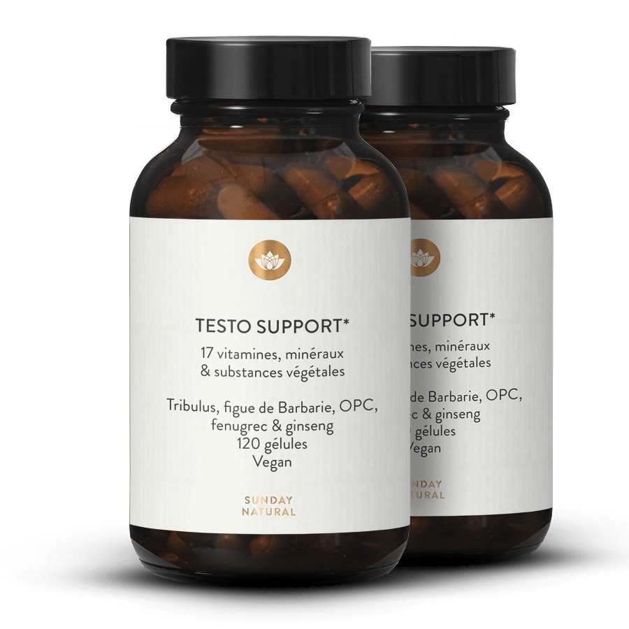 Complexe Testo Support 2 x 120 gélules