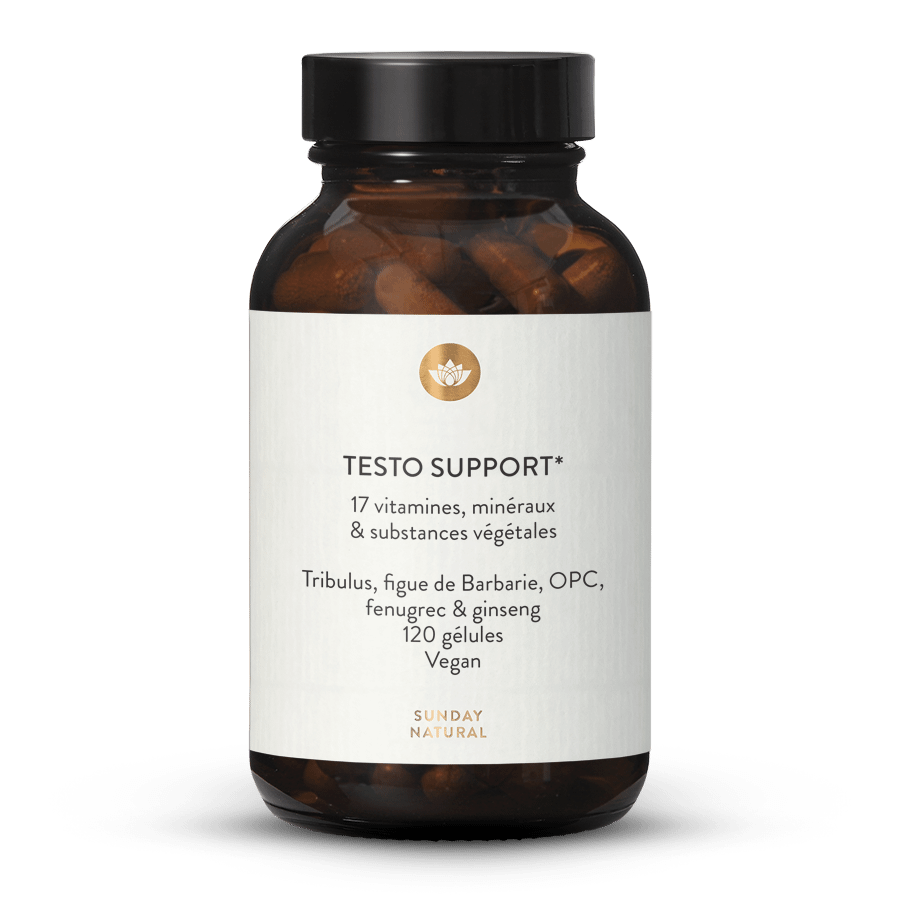 Complexe Testo Support 120 gélules
