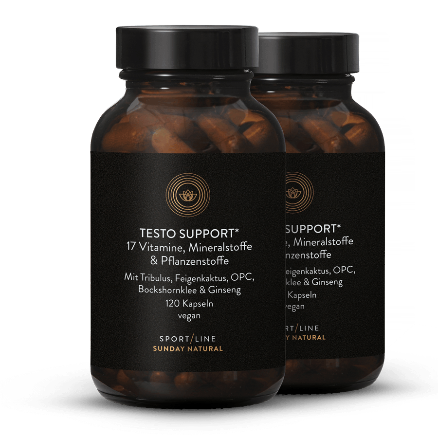 Testo Support Komplex 2x120 Kapseln