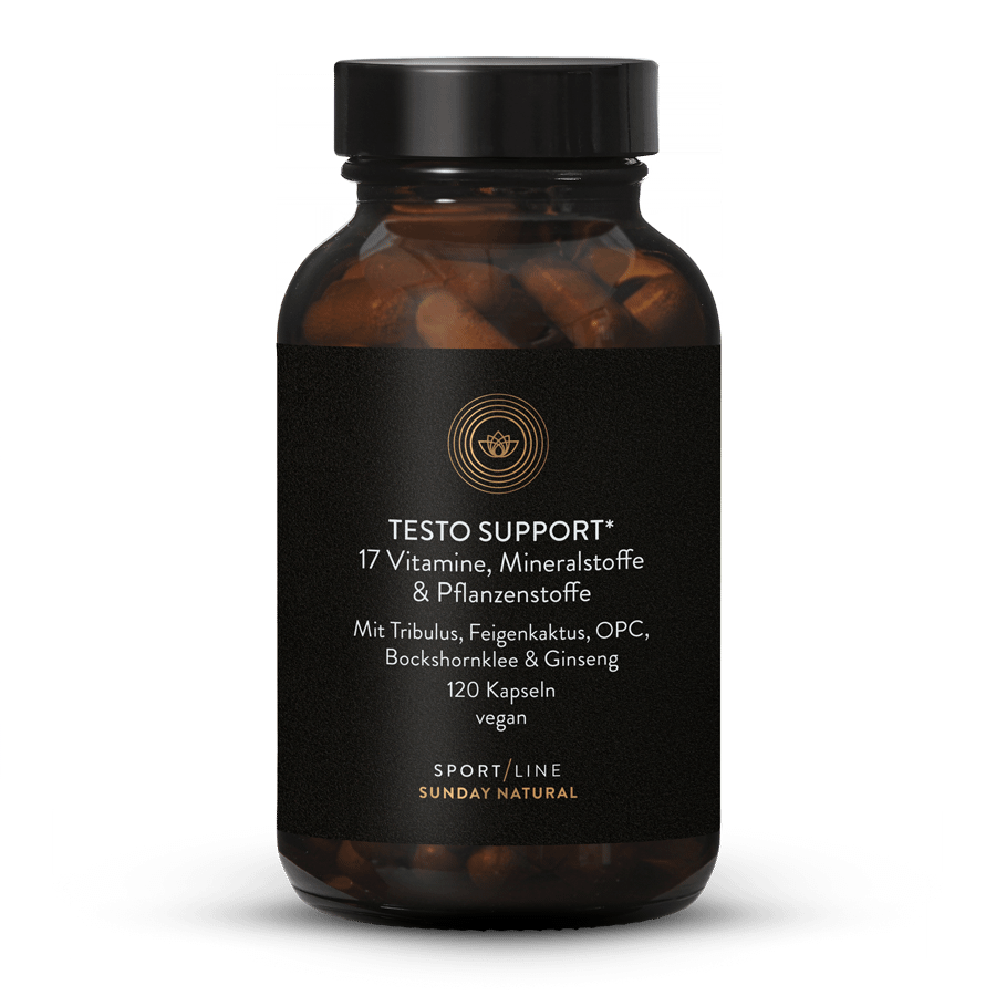 Testo Support Komplex 120 Kapseln