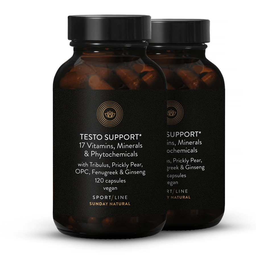Testo Support Complex 2x120 capsules