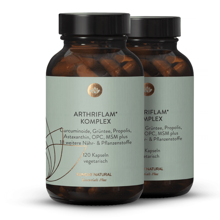 Complexe Arthriflam 2 x 120 gélules