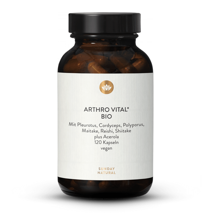 Arthro Vital Bio 120 Kapseln