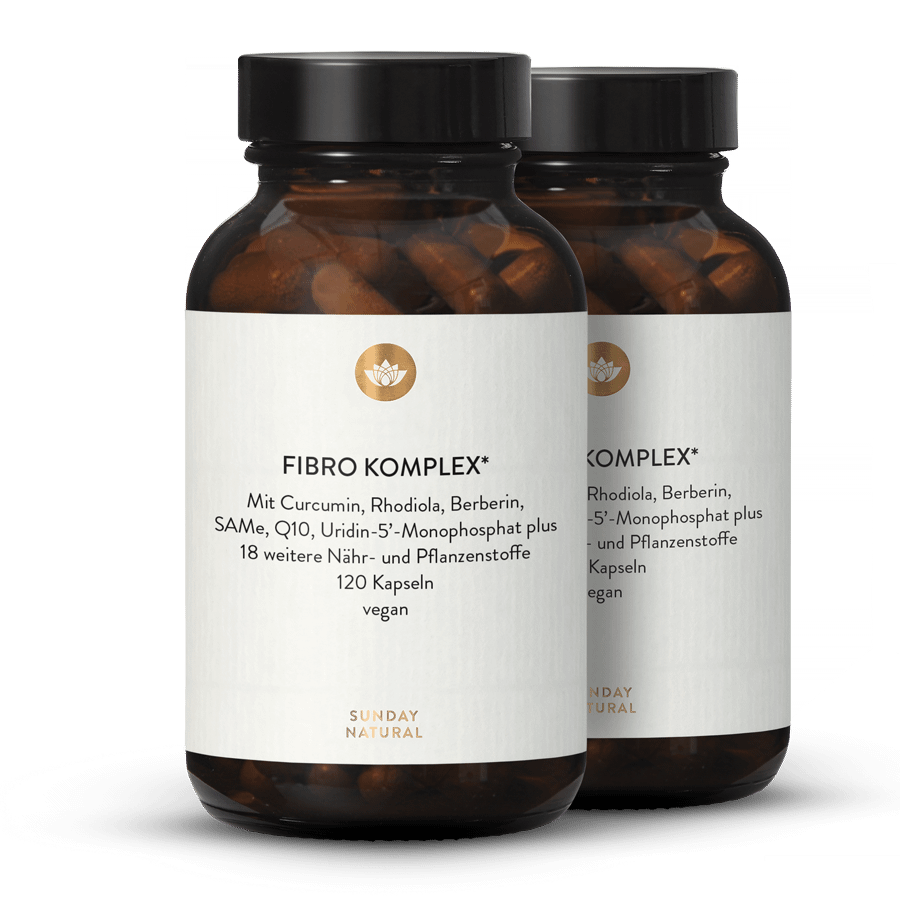 Complexe Fibro 2 x 120 gélules