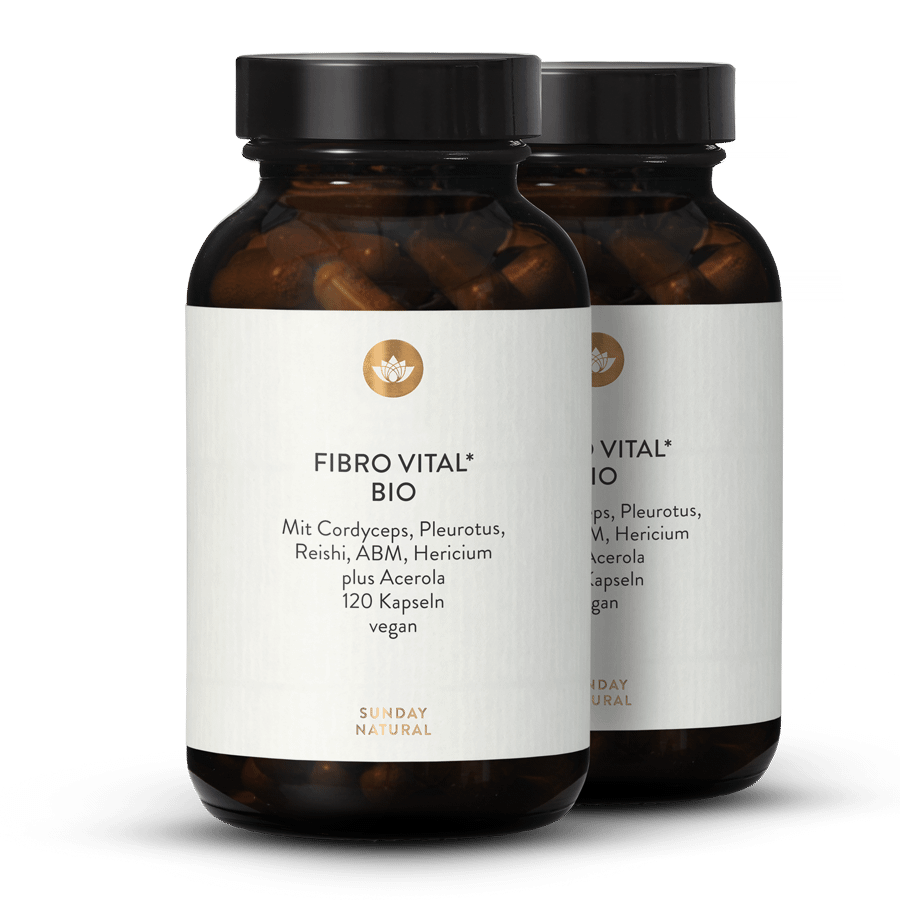 Fibro Vital Bio 2x120 Kapseln