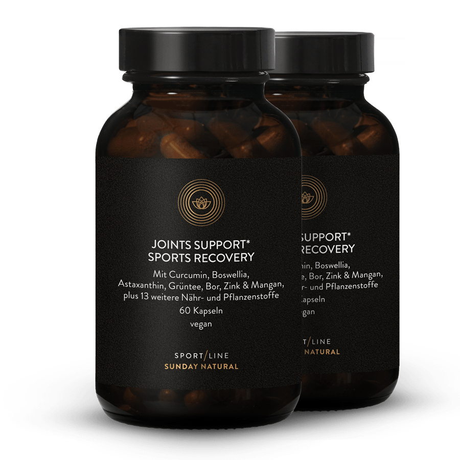 Joints Support Sports Recovery 2 x 60 gélules