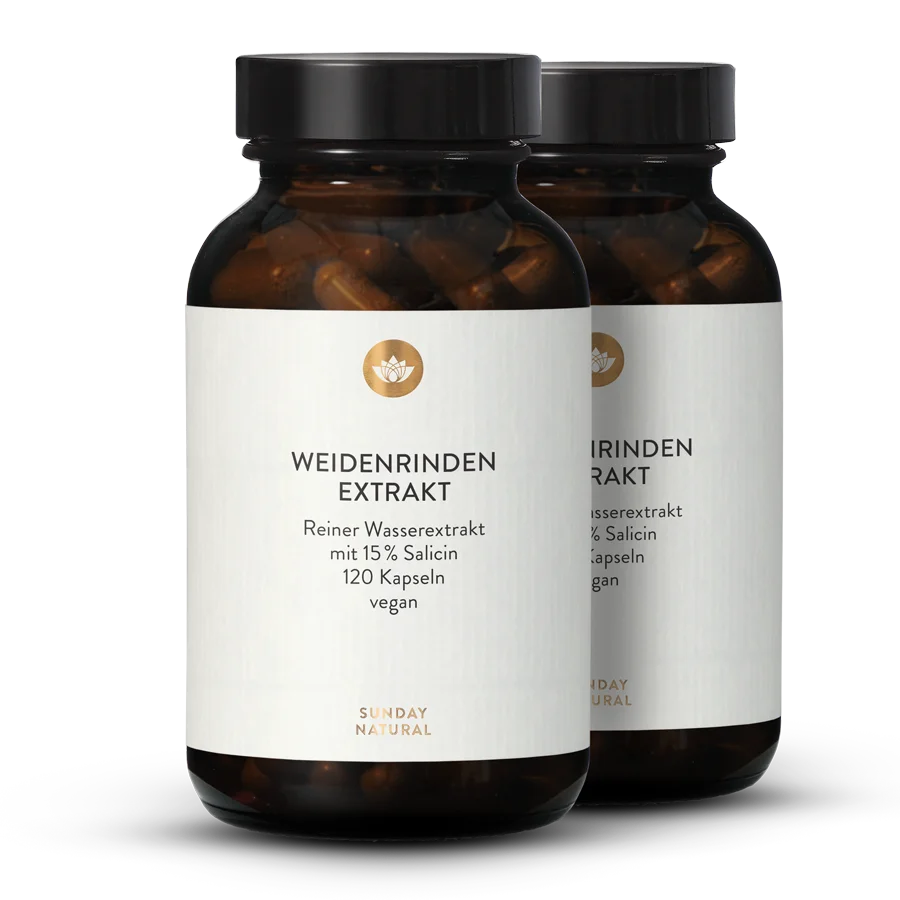 Weidenrinden Extrakt Kapseln 2x120 Kapseln