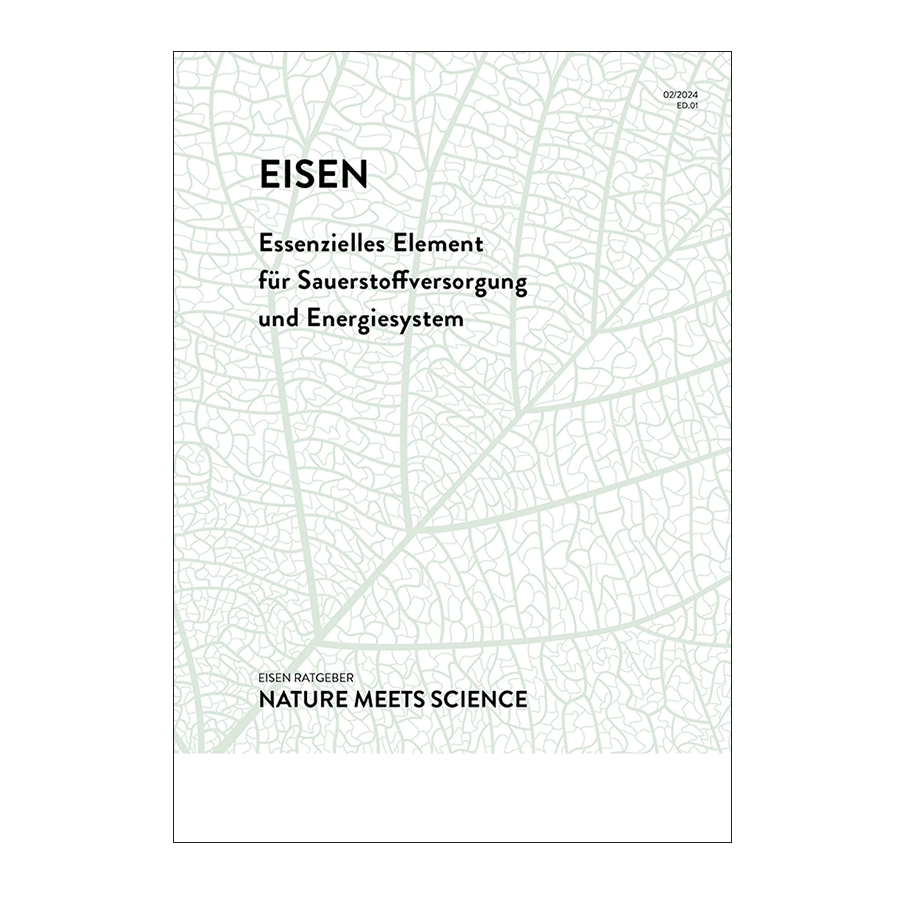 Eisen 1 pcs