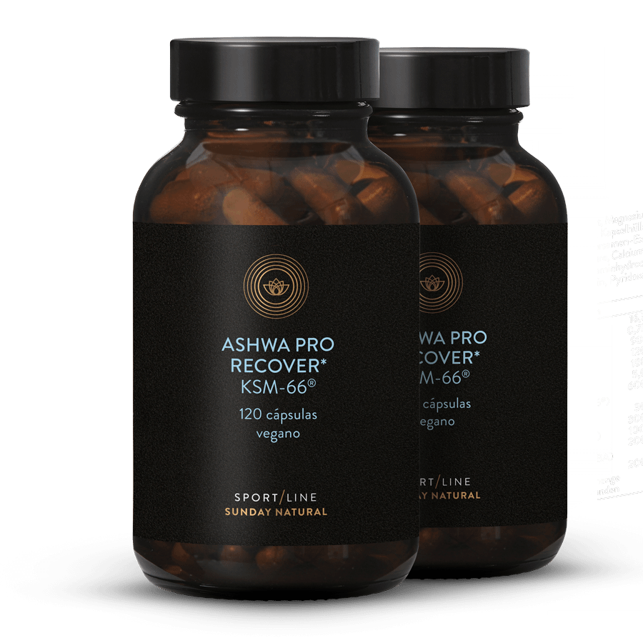 Recuperar Ashwa Pro Complejo 2x120 cápsulas