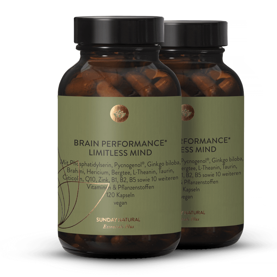Brain Performance Limitless Mind 2x120 Kapseln