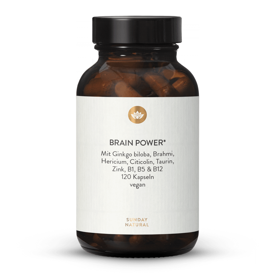 Brain Power Komplex 120 Kapseln