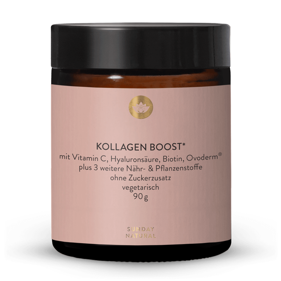 Kollagen Boost 90g