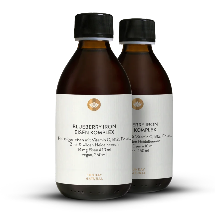 Blueberry Iron Eisen Komplex 2x250ml