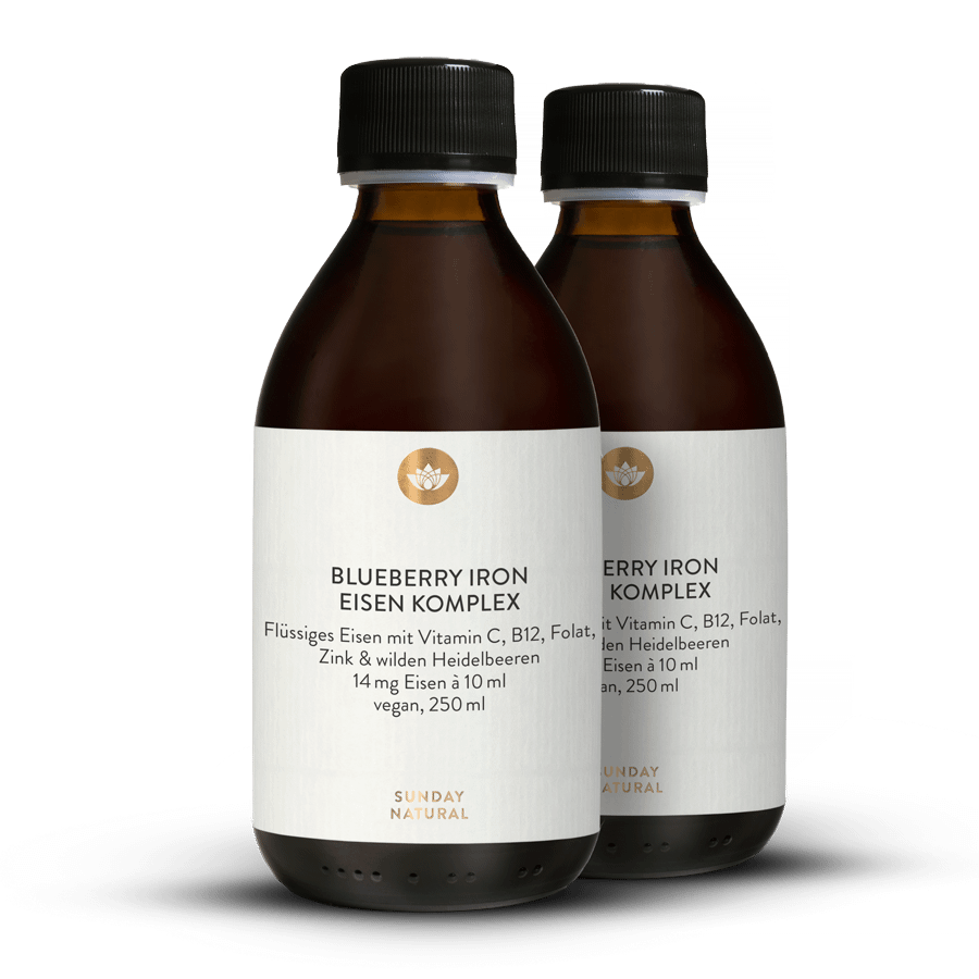 Blueberry Iron Complex 2x250ml