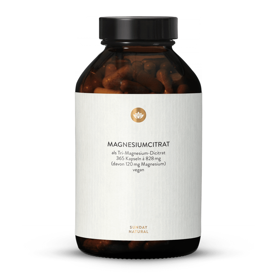 Magnesium Citrat Kapseln 365 Kapseln 
