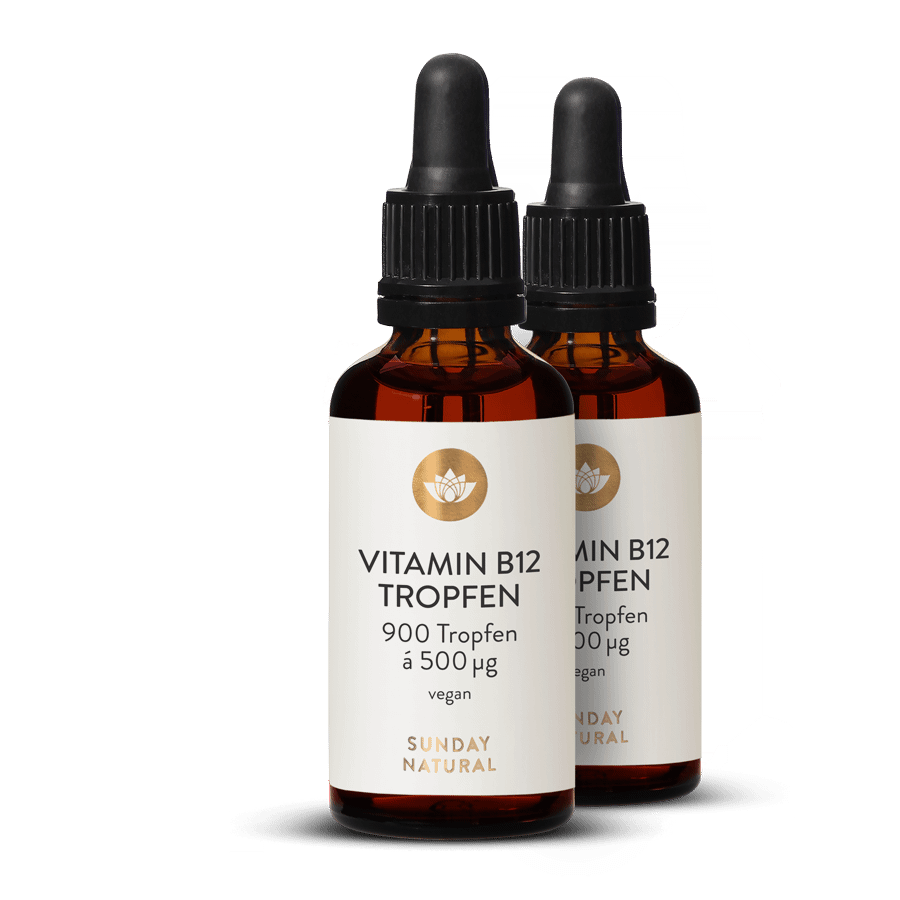 Vitamin B12 Tropfen 500µg 2x44.7ml