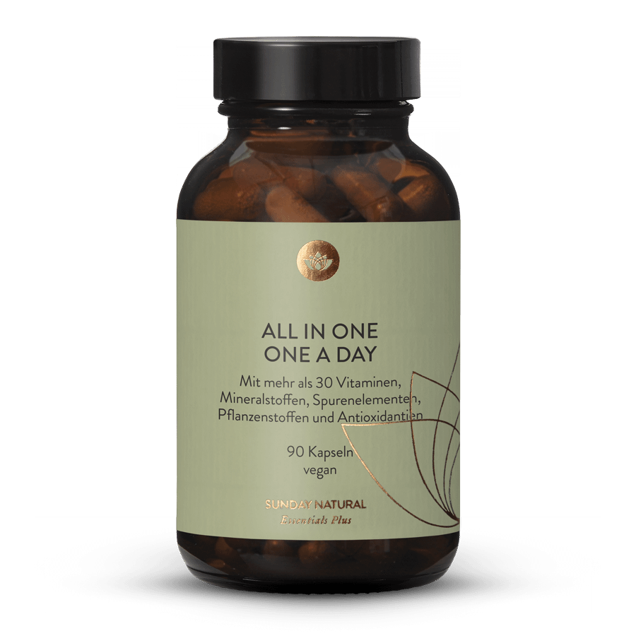 All In One Kapseln One A Day XL 90 Kapseln