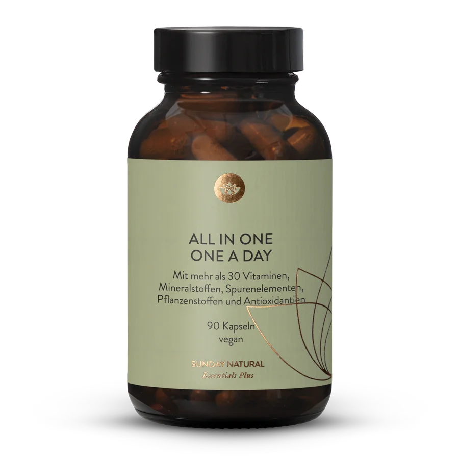 All in One One A Day XL 90 capsules