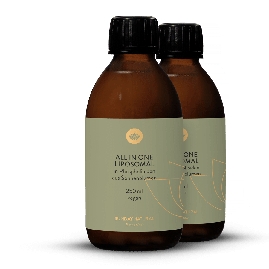 All in One Liposomal 2x250ml