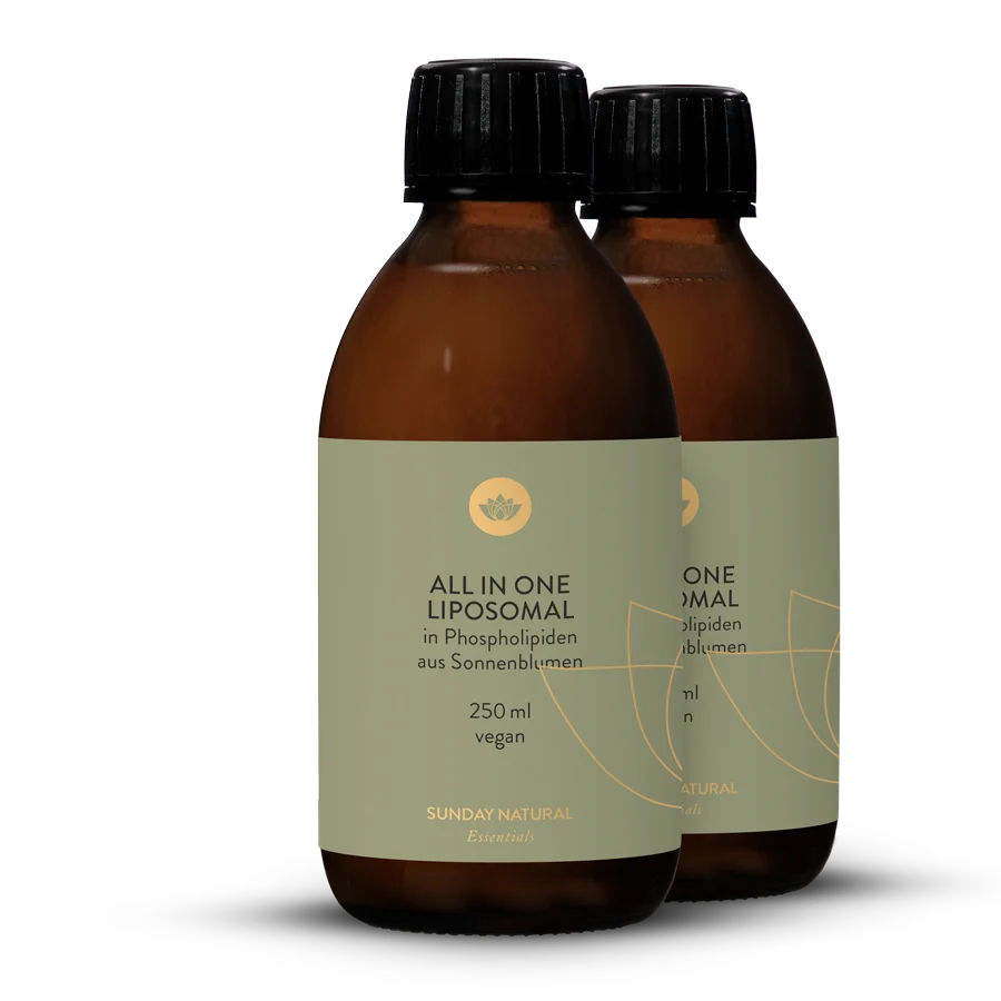 Liposomal All in One 2x250ml