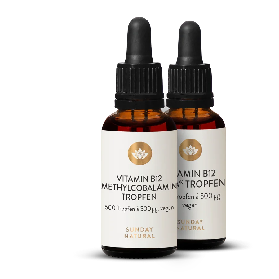 B12 Tropfen Methylcobalamin 500µg 2x30ml