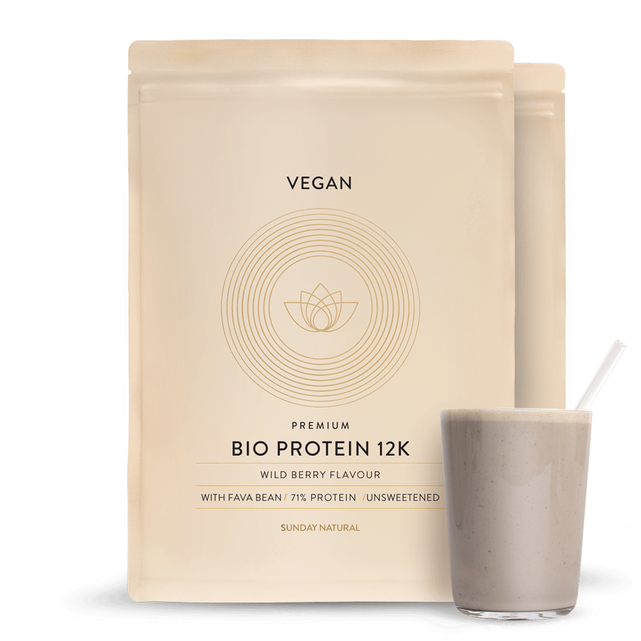 Bio Protein 12K Wild Berry 2x1000g