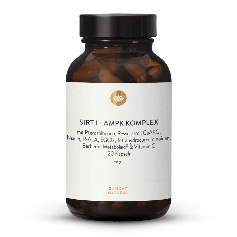 Complexe SIRT 1 - AMPK 120 gélules