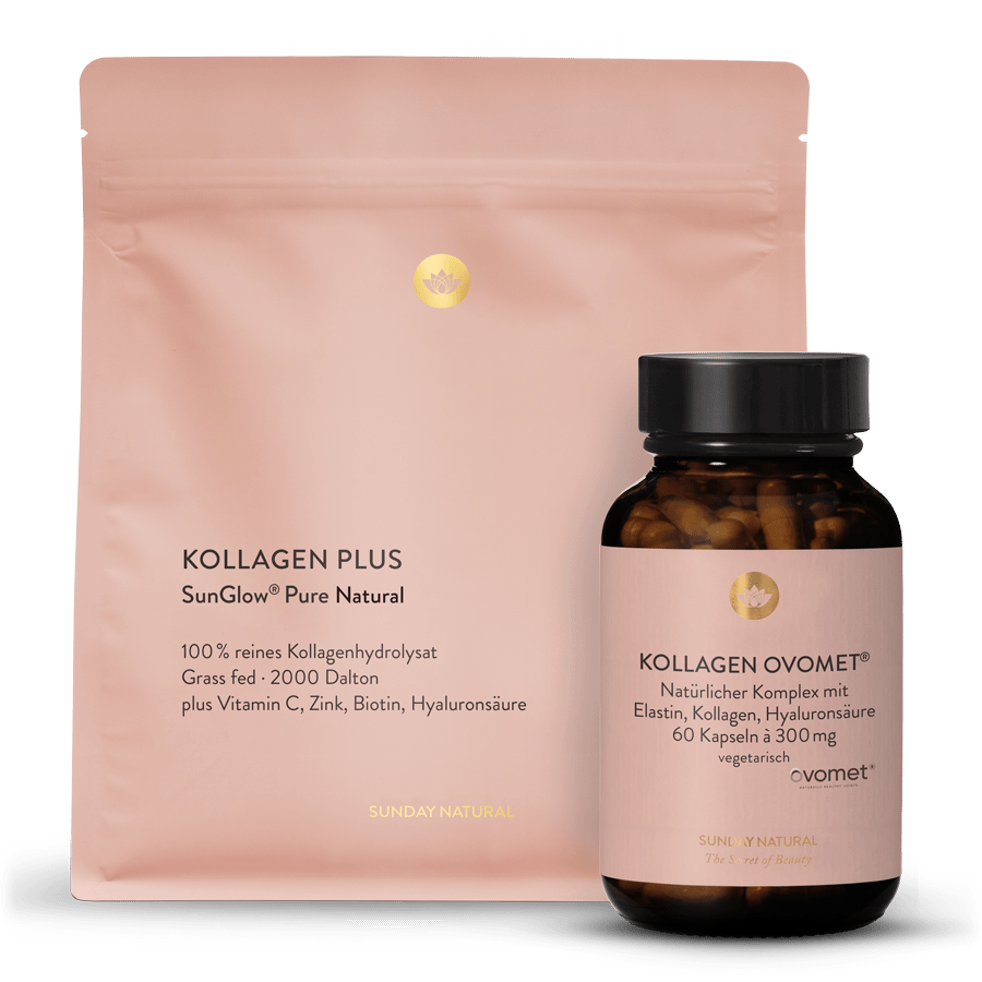 Kollagen-set aus Typ I, III, V & X 1 St.