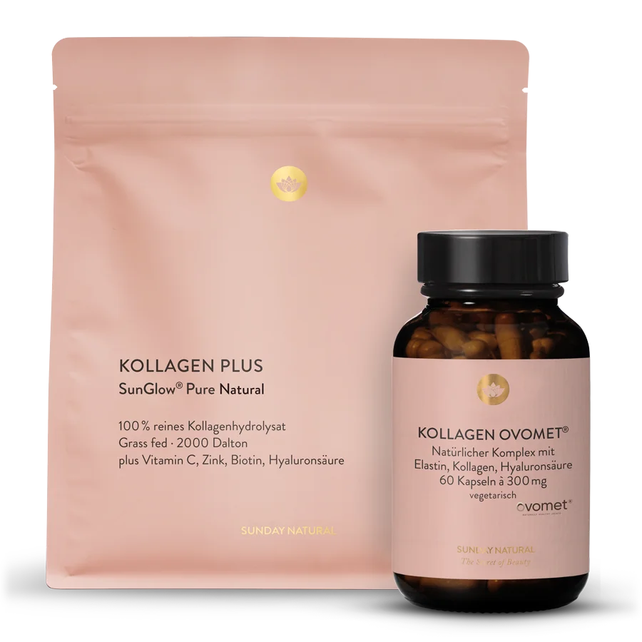 Kollagen-set aus Typ I, III, V & X 1 St.