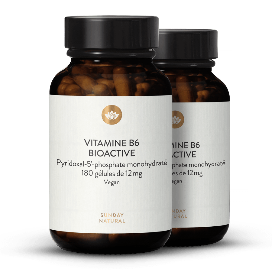 Vitamine B6 Bioactive - 12 mg 2 x 180 gélules